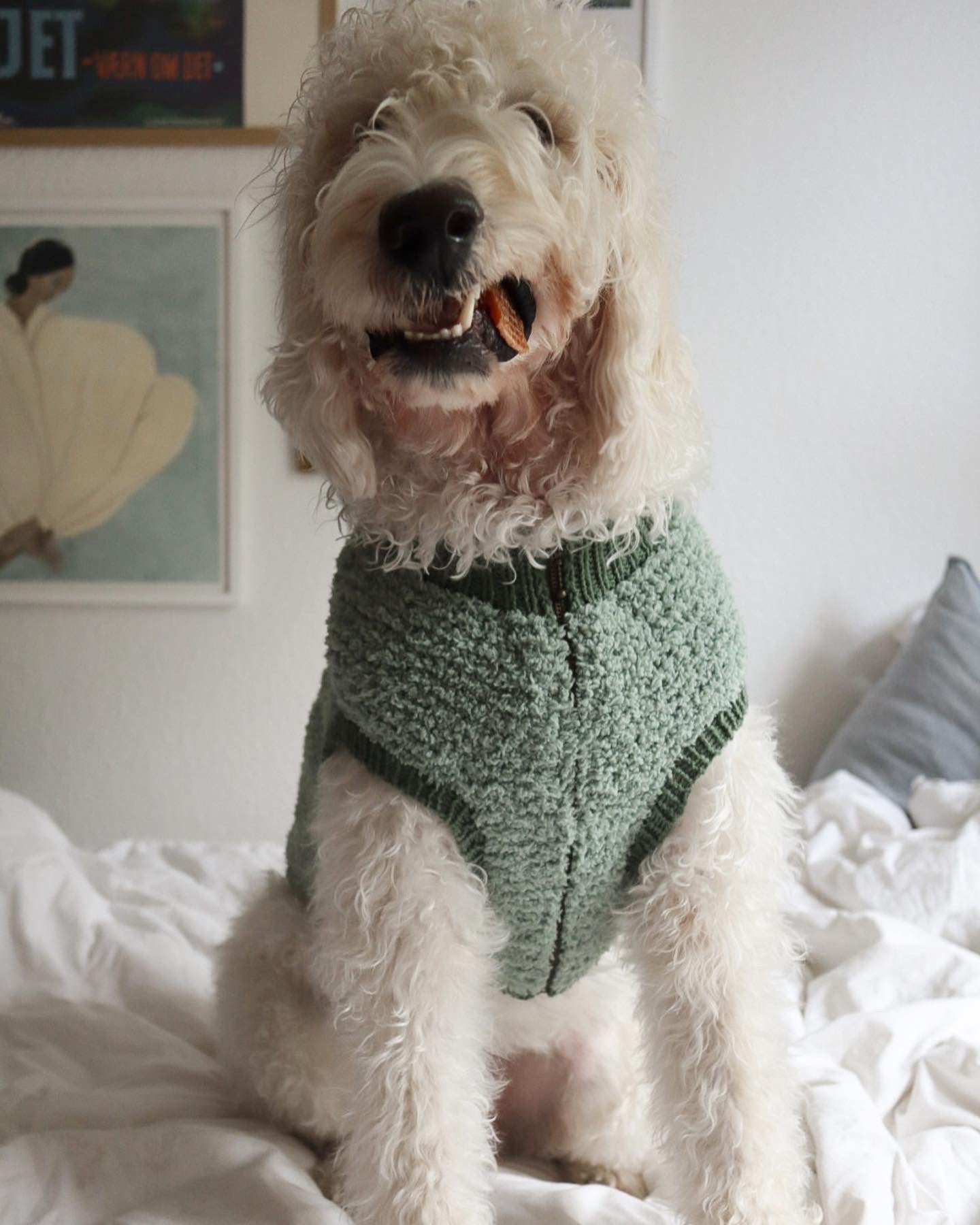 TEDDY VEST - english