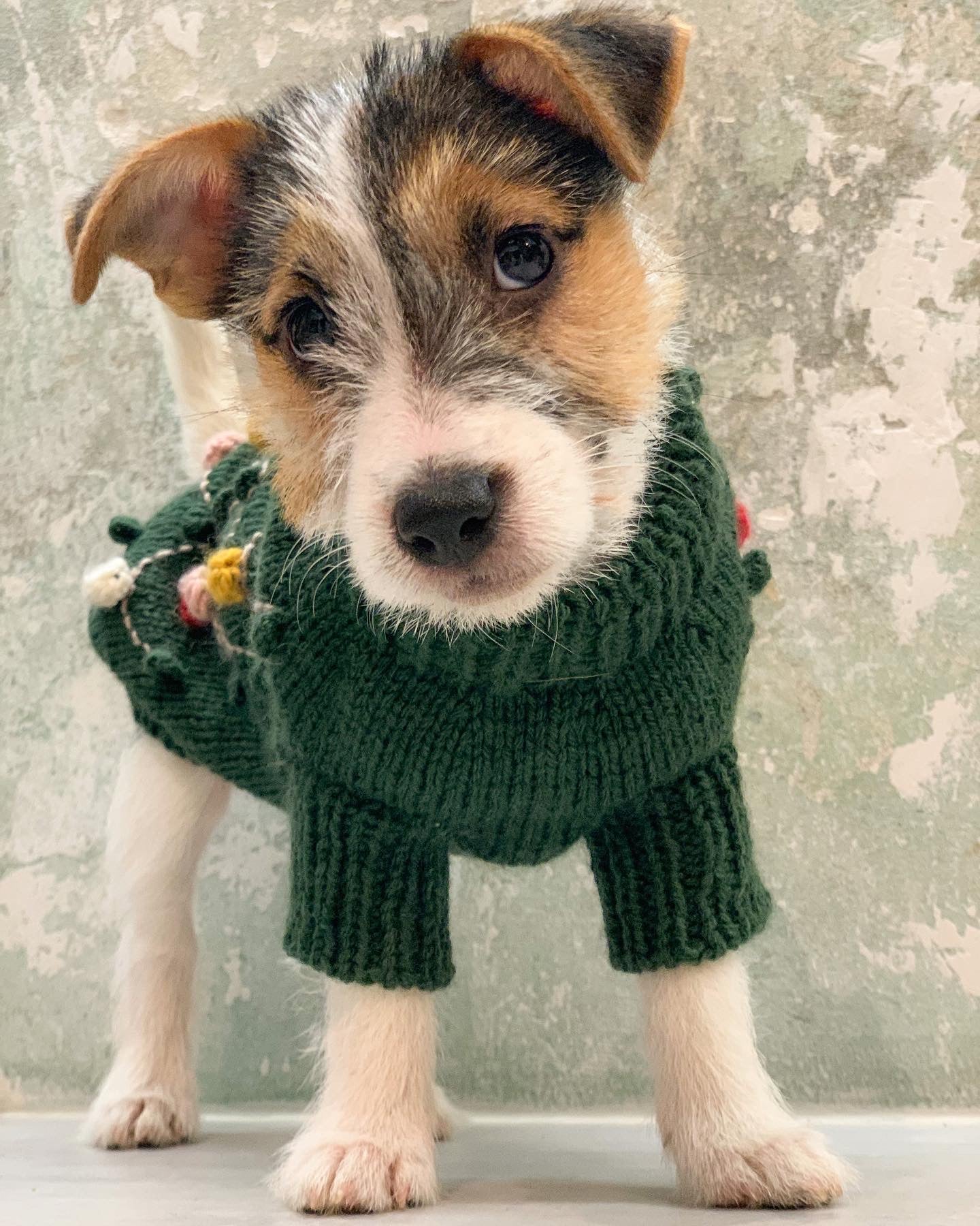 (A VERY) FESTIVE SWEATER