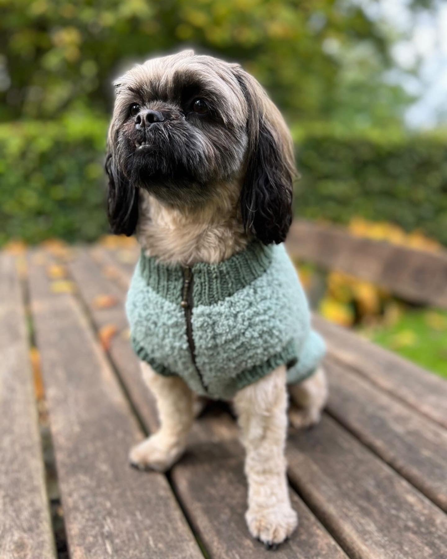 TEDDY VEST