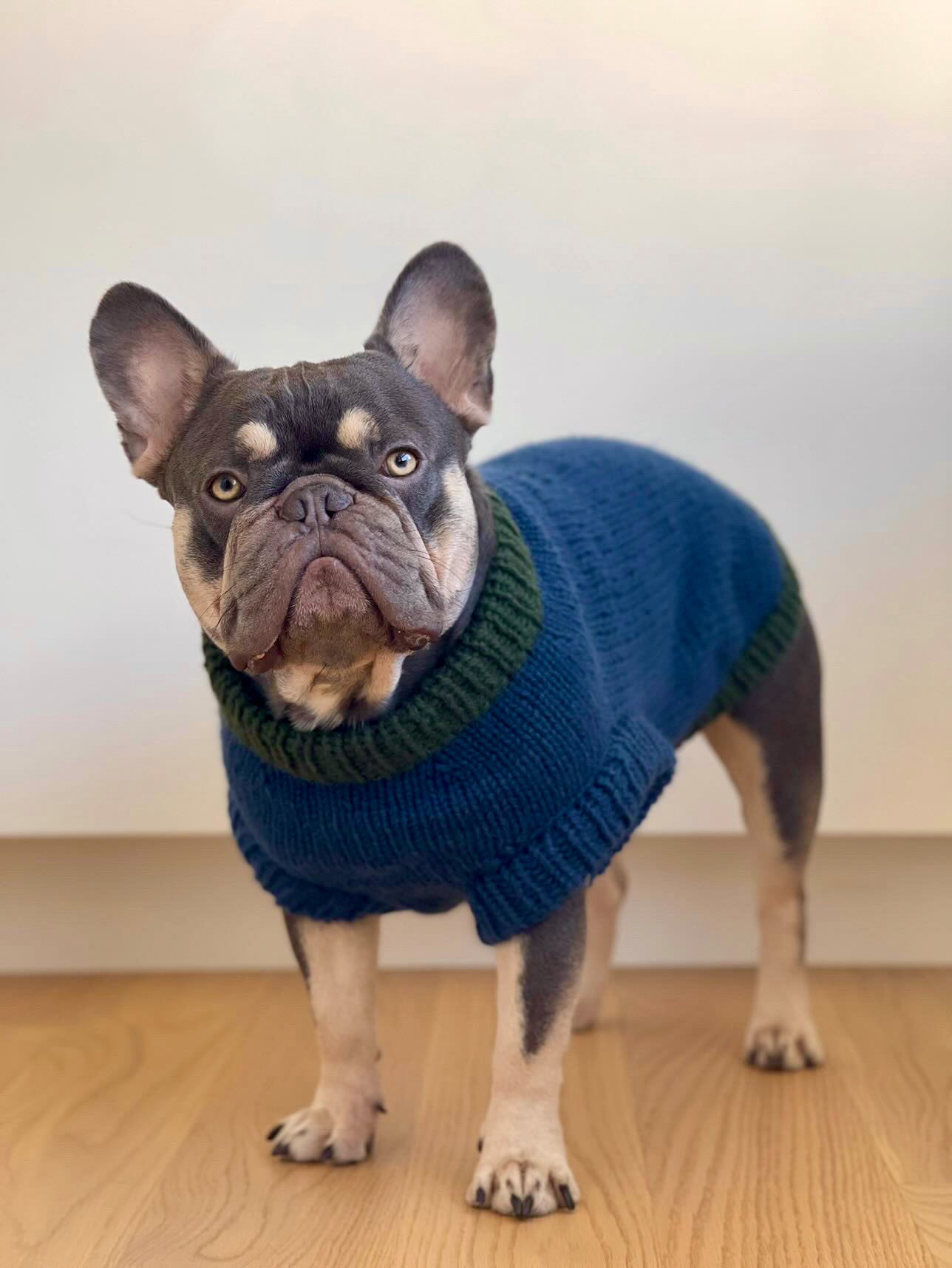SWEATER-WEATHER SWEATER - franske bulldogs