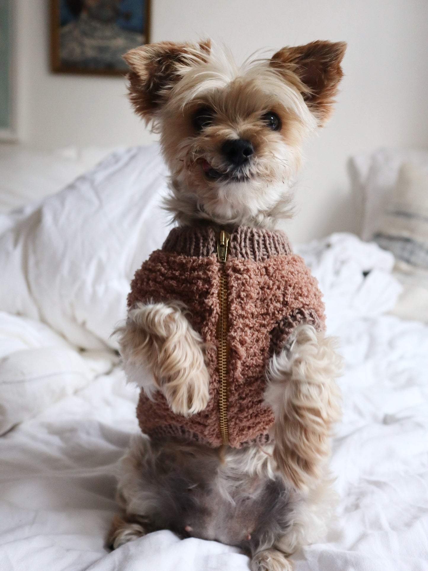 TEDDY VEST - english