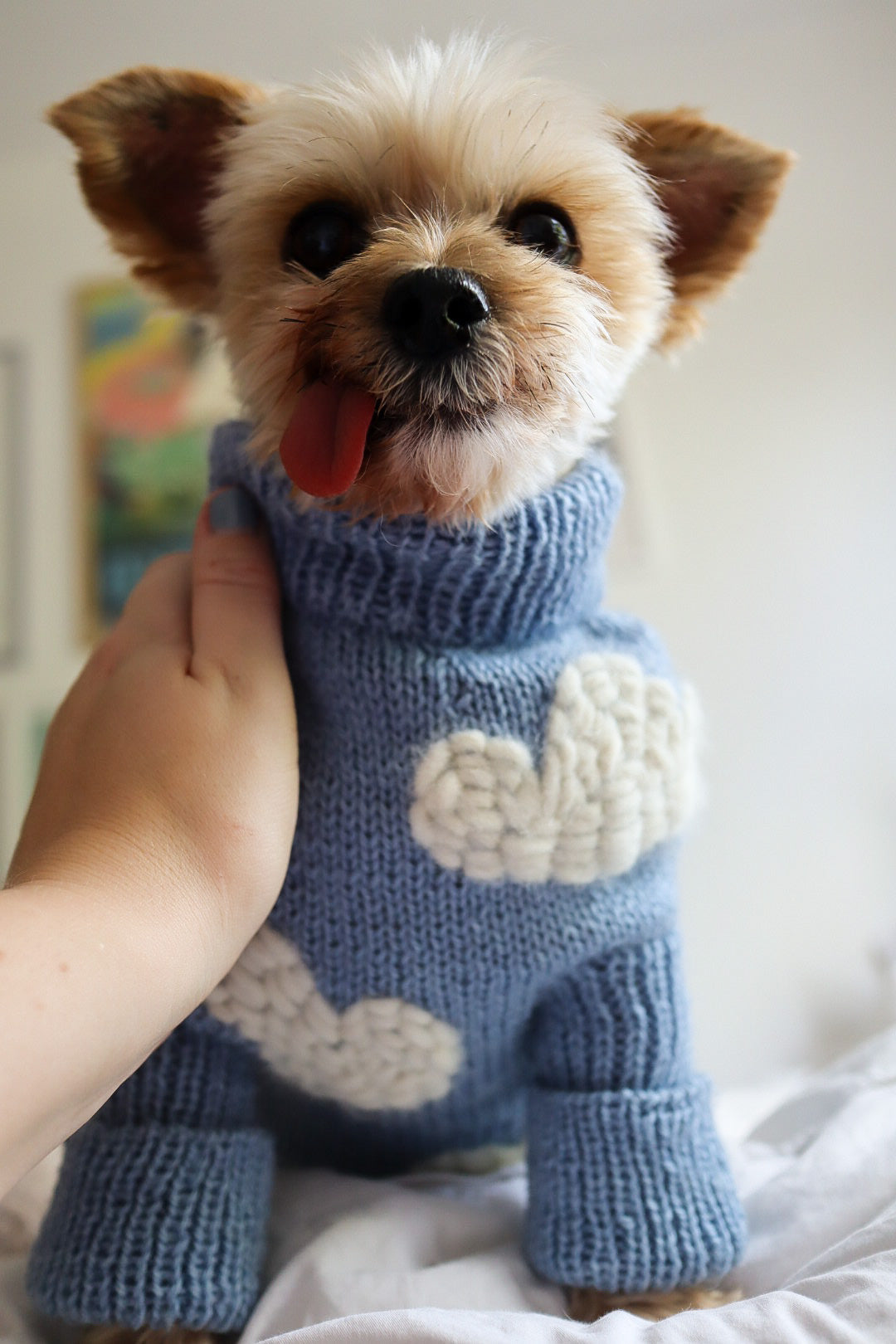 CLOUDY SWEATER