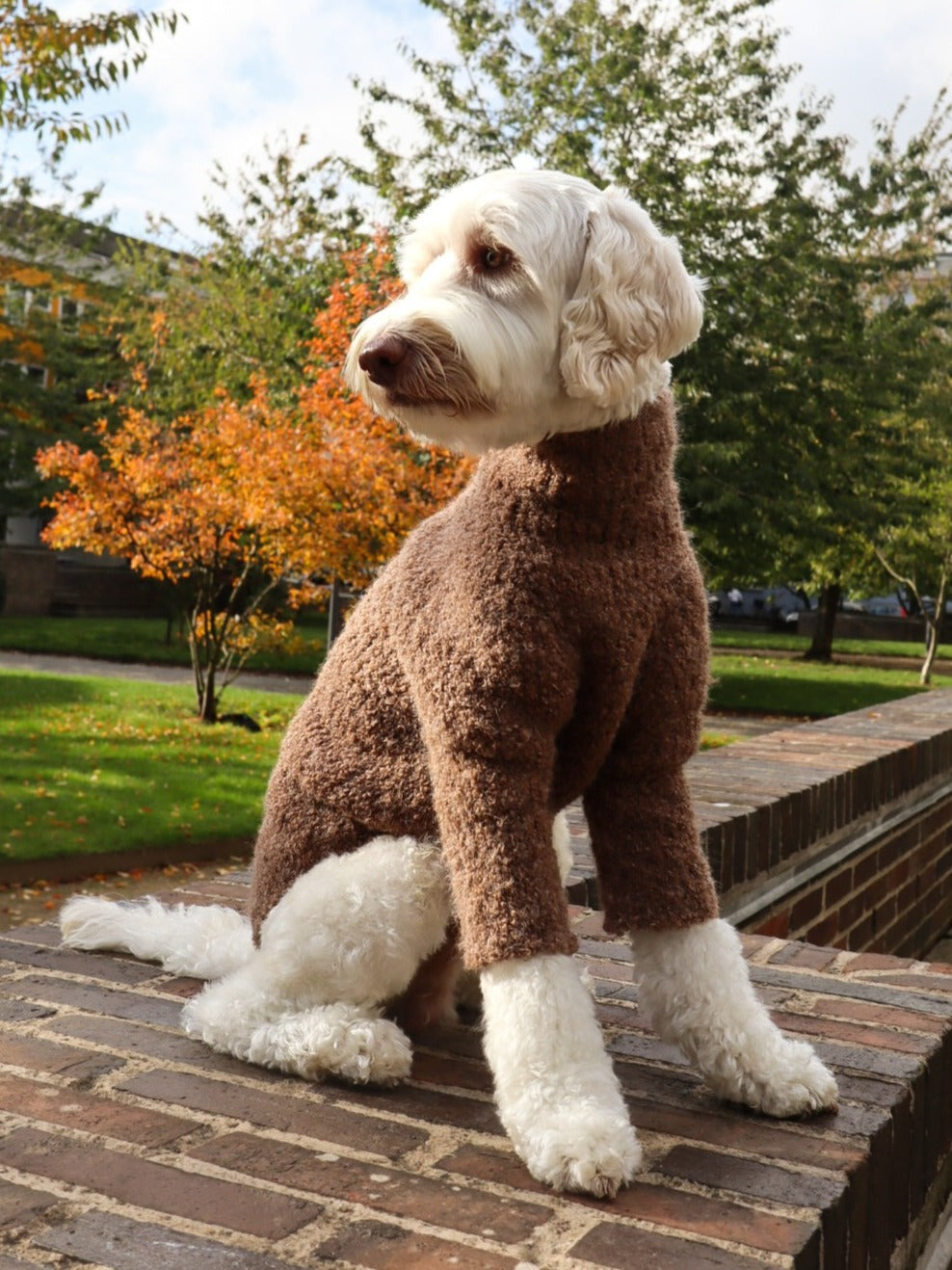 TEDDY SWEATER